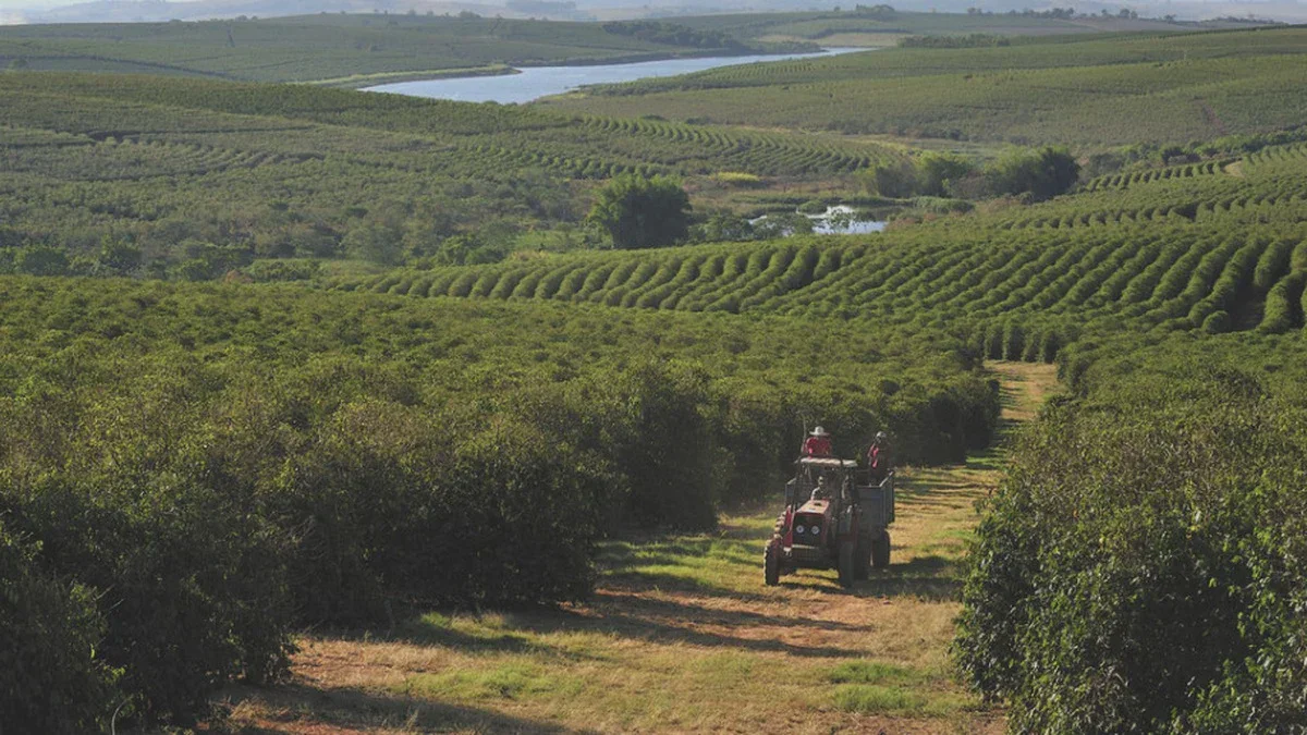 L’UE va distribuer 56 millions d’euros : le soutien aux agriculteurs sinistrés est lancé